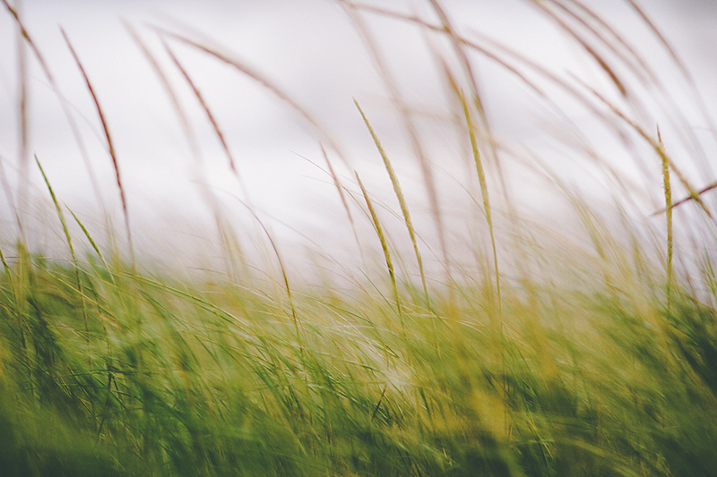 new york wedding photographer