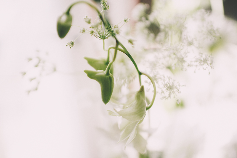 new york wedding photographer