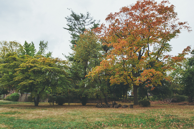 new york wedding photographer